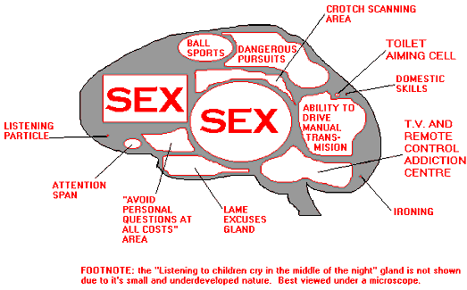 Brain Sex Test 97